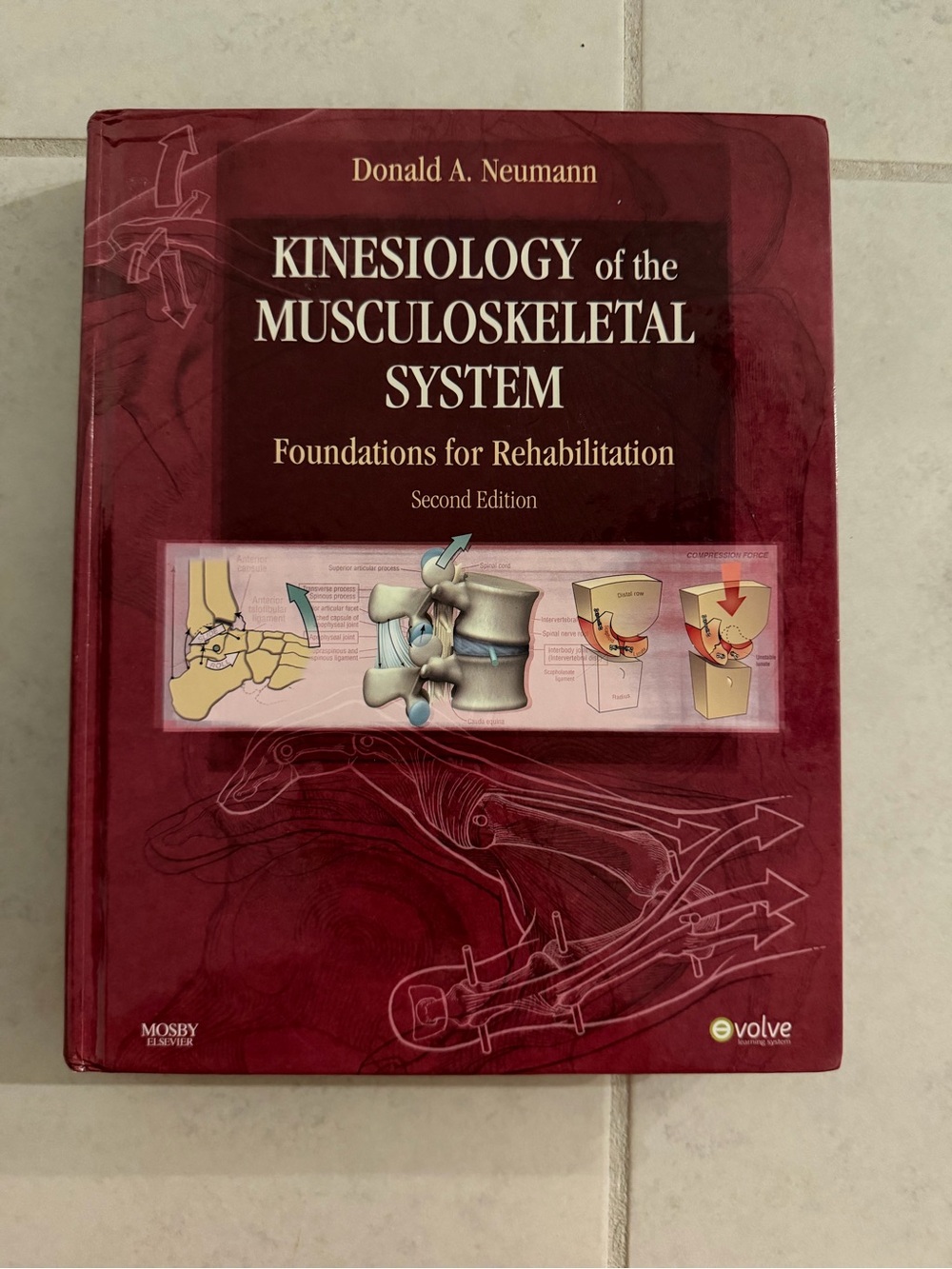 Kinesiology of the Musculoskeletal System - 2nd edition by Neumann